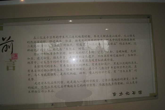 a2.jpg