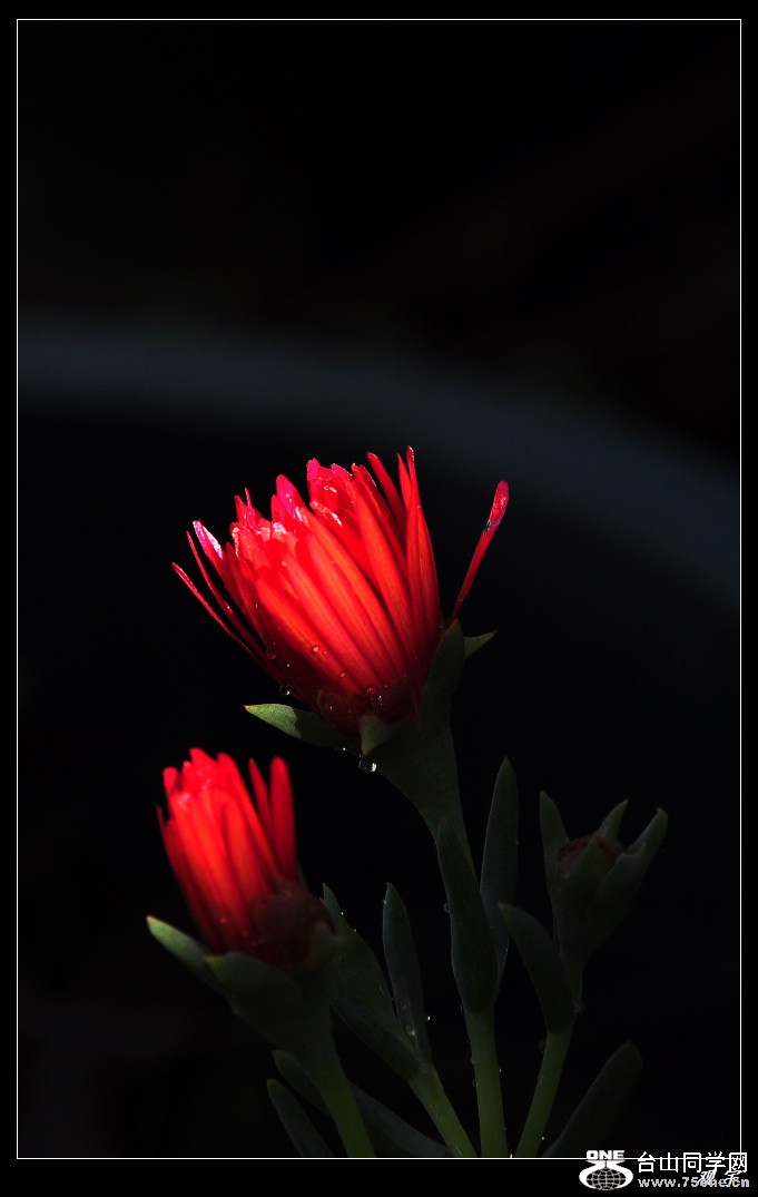 DSC_8926.jpg