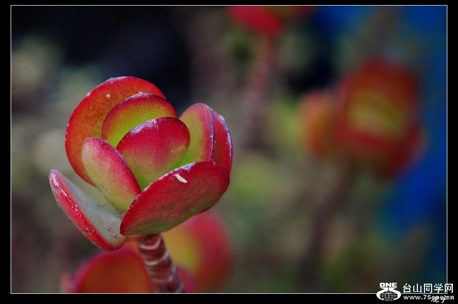 DSC_8605.jpg