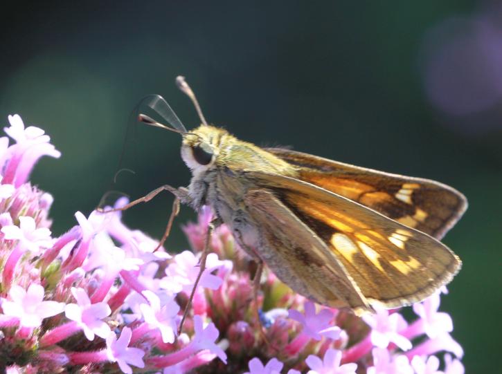 �}�u -�}�u -IMG_8415.jpg