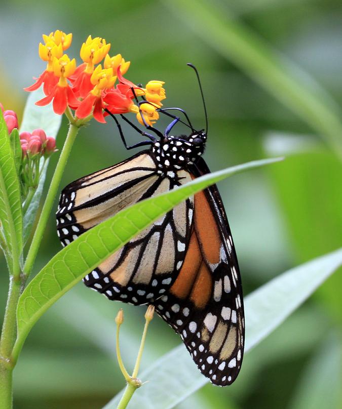 �}�u -�}�u -IMG_6695.jpg