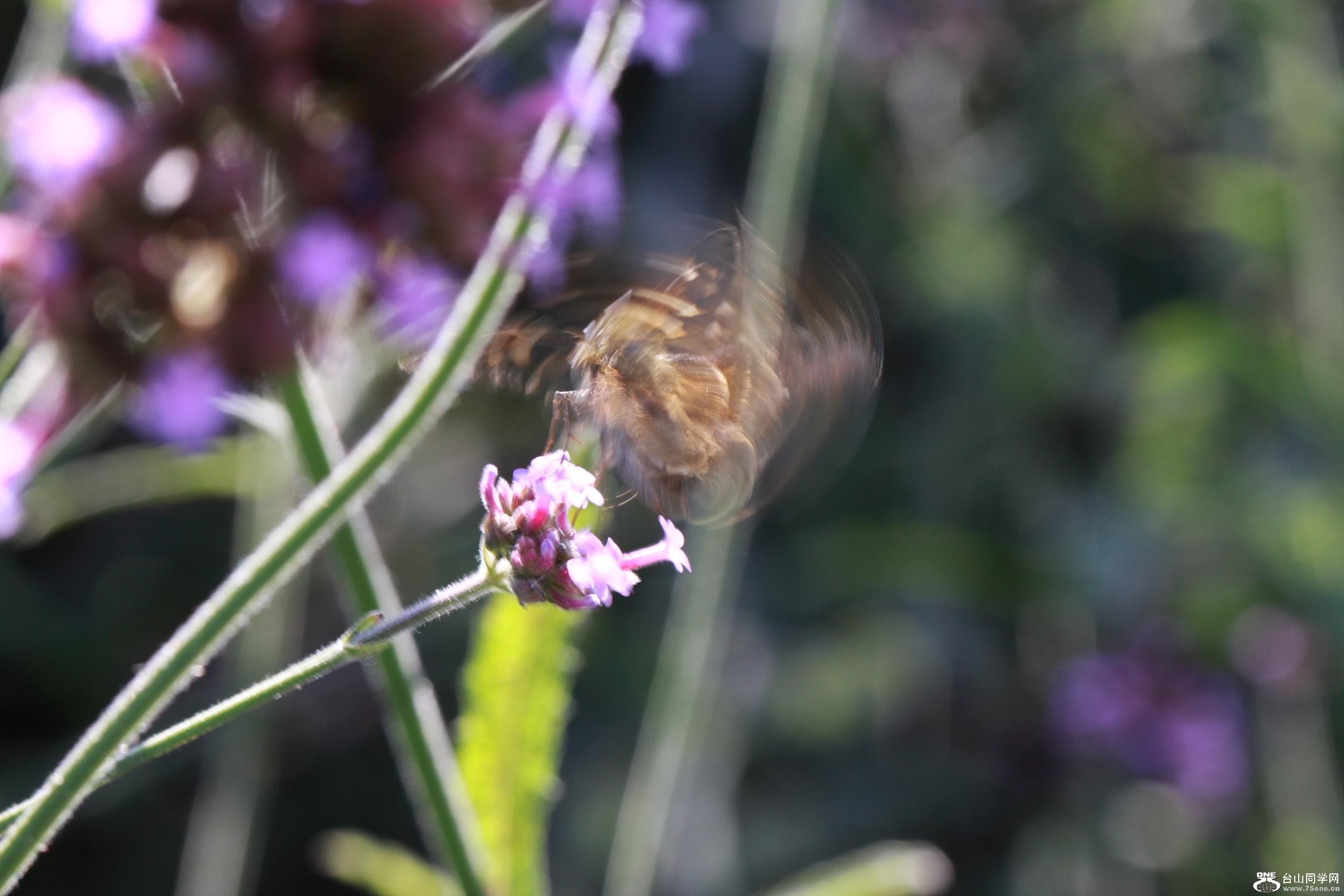 �}�u -IMG_8404.jpg