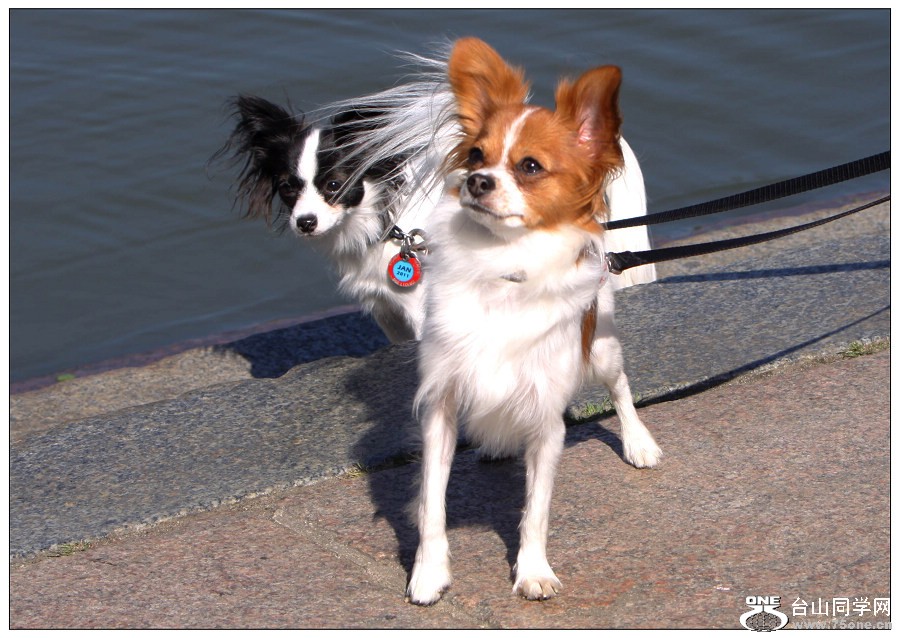 ���н���