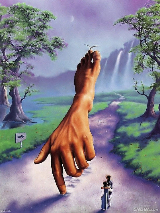 z2.jpg