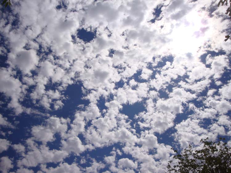 DSC01715.JPG