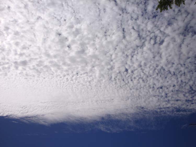 DSC01749.JPG