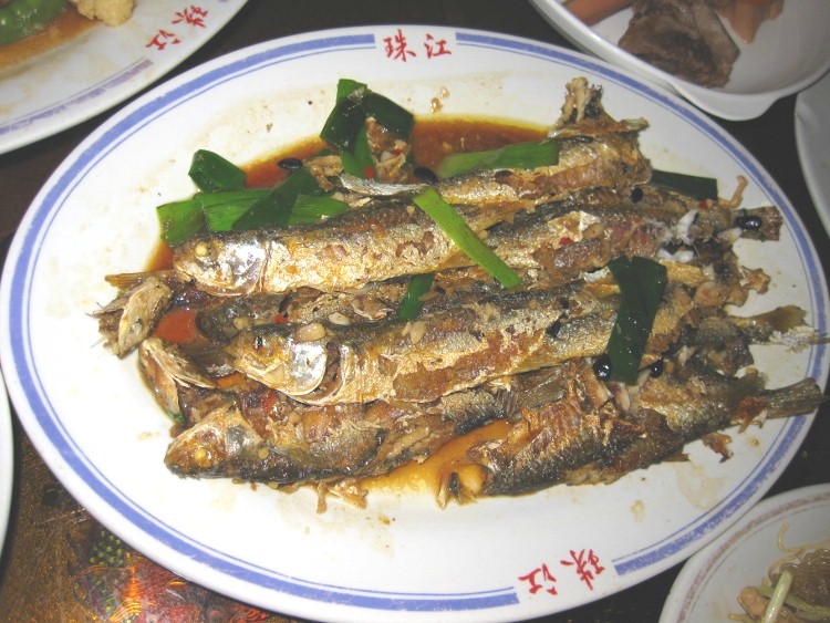 IMG_9107 (750x563)_.jpg