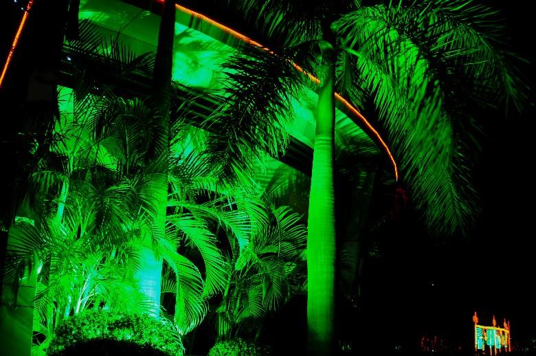 DSC_0081_.jpg