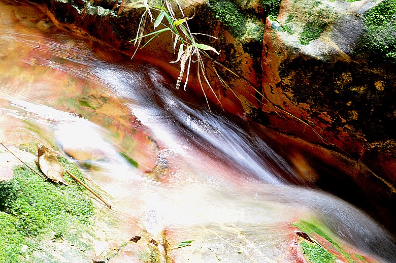DSC_0360_.jpg