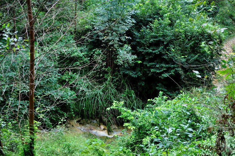 DSC_0377_.jpg