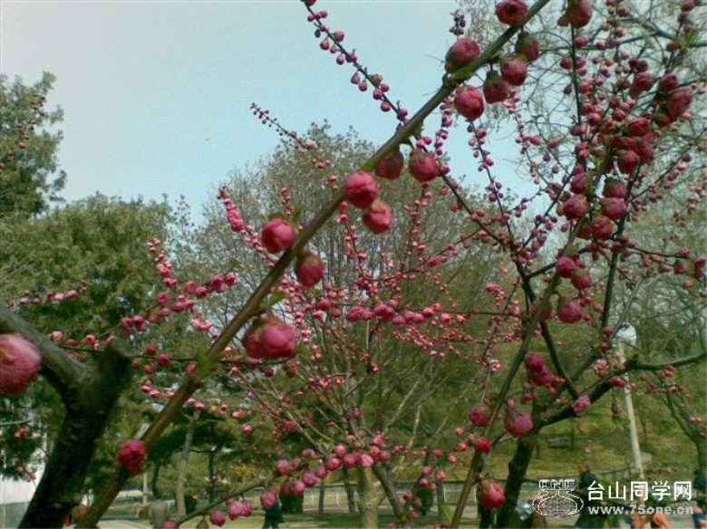 201041185937[1]_.jpg