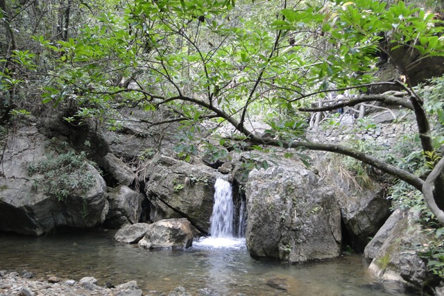 عش¹ 126.JPG