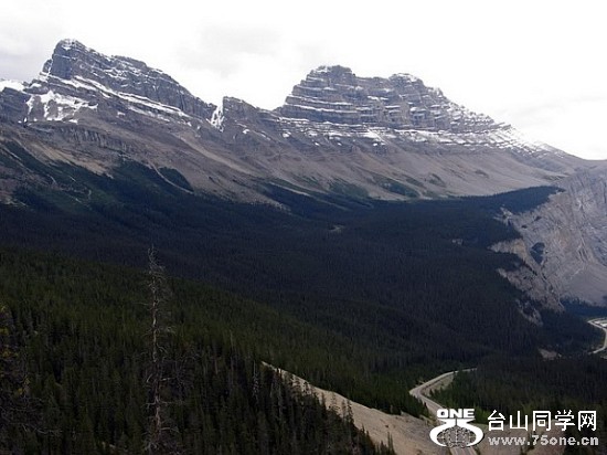 (˹ӵشȦĻԭɭ֡&#41;