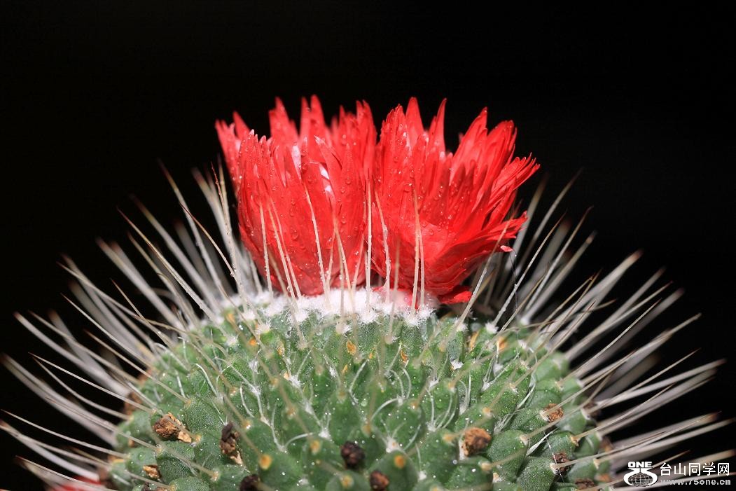 �}�u -IMG_2418.jpg