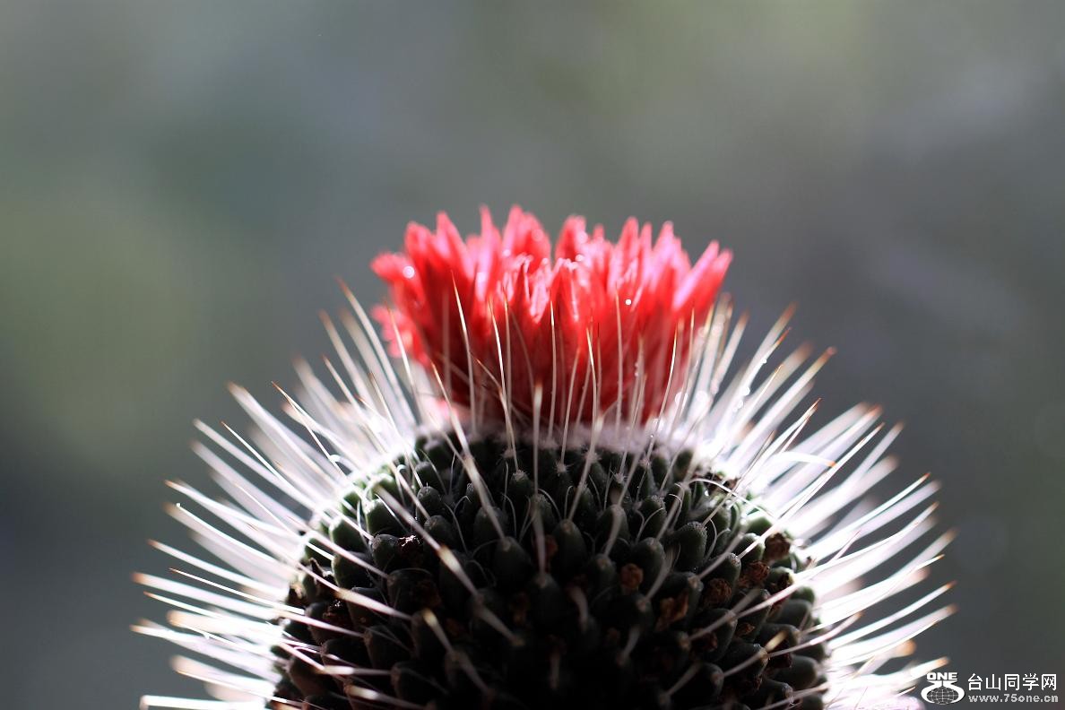 �}�u -IMG_2423.jpg