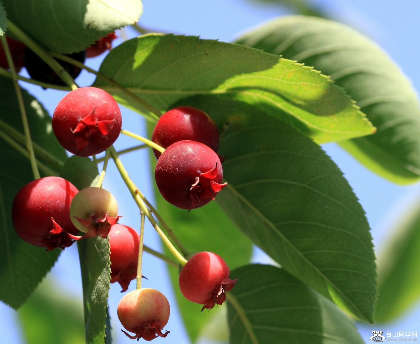 �}�u (3) -IMG_1106.jpg