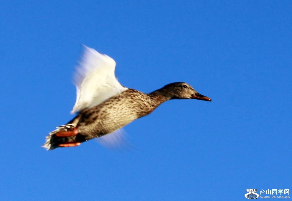 �}�u -�}�u -IMG_1276.jpg