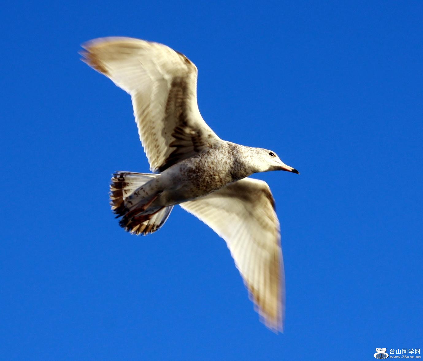 �}�u -�}�u -IMG_1330.jpg