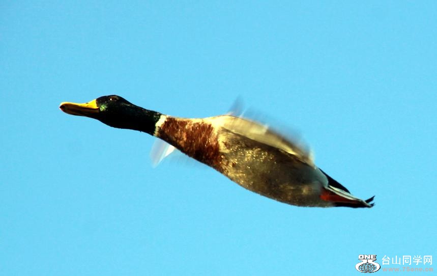 �}�u -�}�u -IMG_1297.jpg