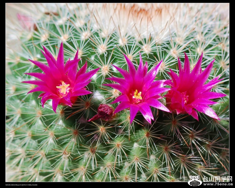 DSC_1582.jpg