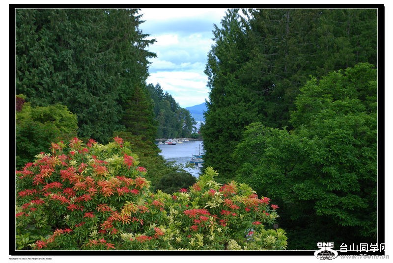 DSC_0882.jpg