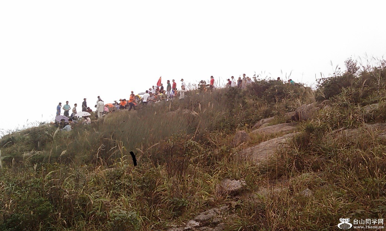 жšɽšš»ššŵƼ