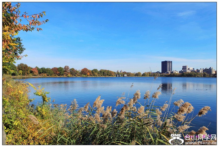 ���빫԰��ɫ