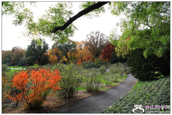 ŦԼ������