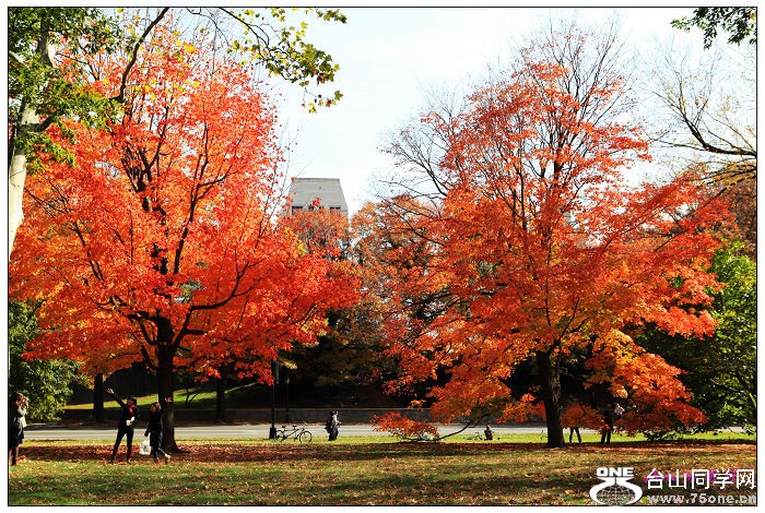 ���빫԰��ɫ