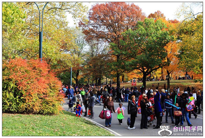 ���빫԰��ɫ