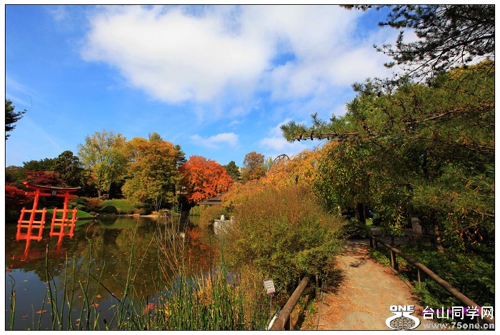 ŦԼ������