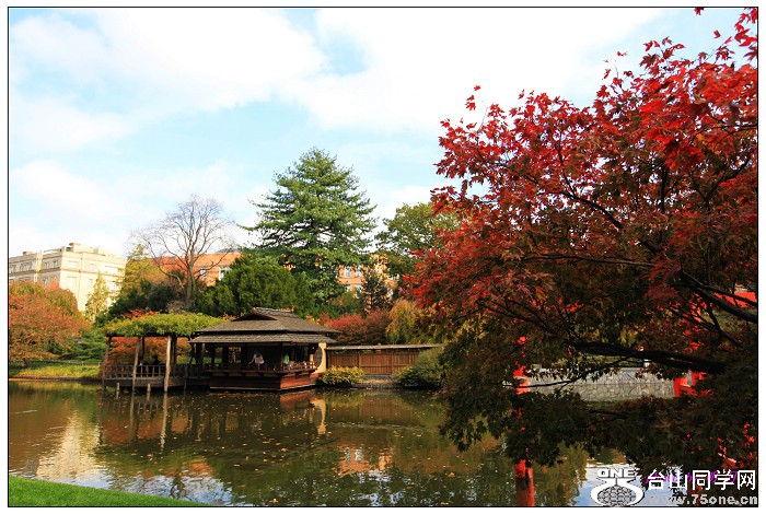 ŦԼ������