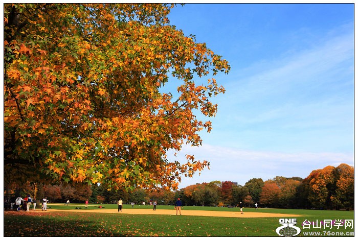 ���빫԰��ɫ