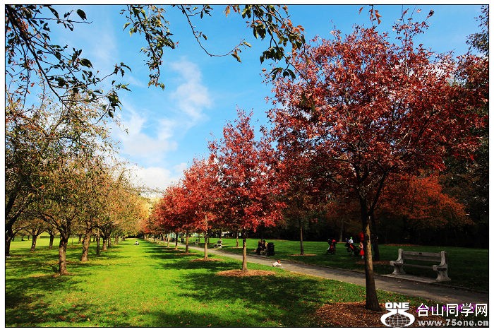 ŦԼ������