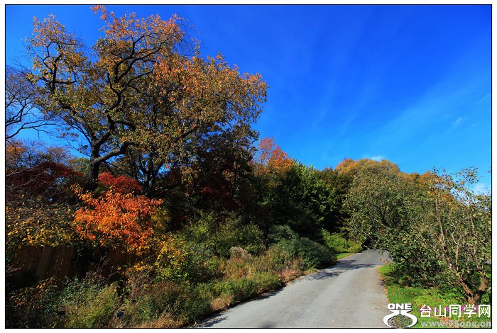 ŦԼ������