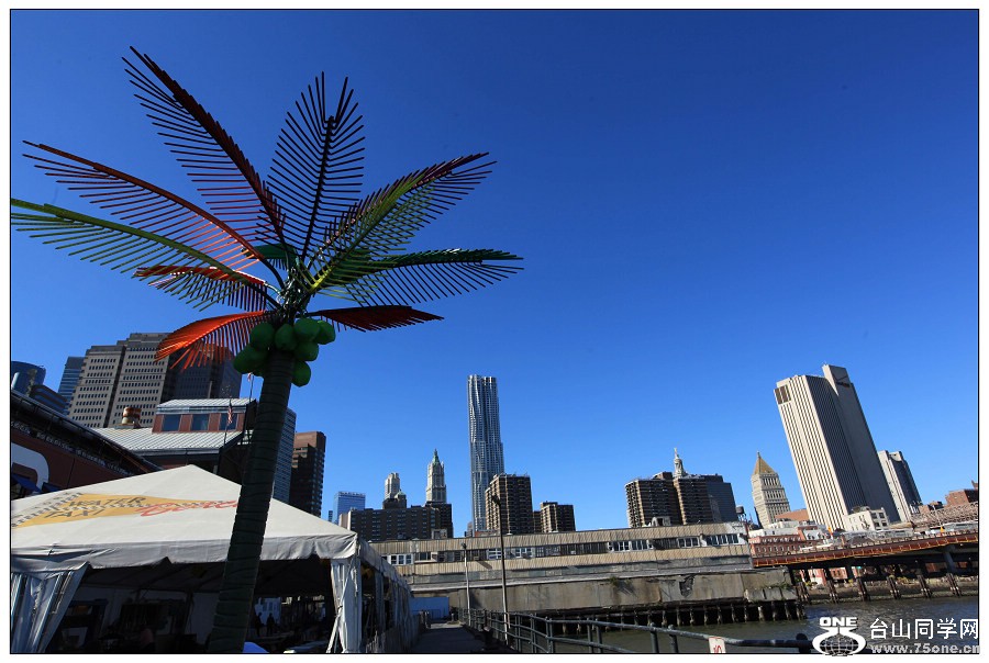 �����ŷ緫��