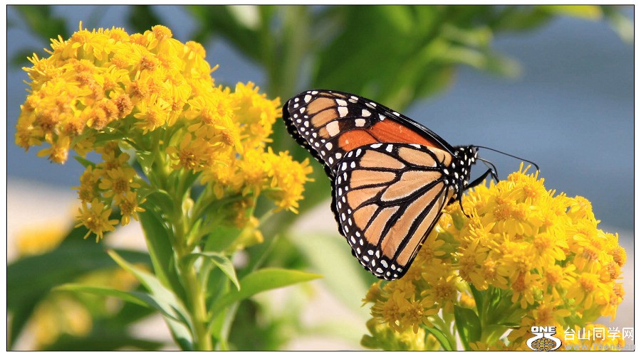 ��³����ͷ�����羰