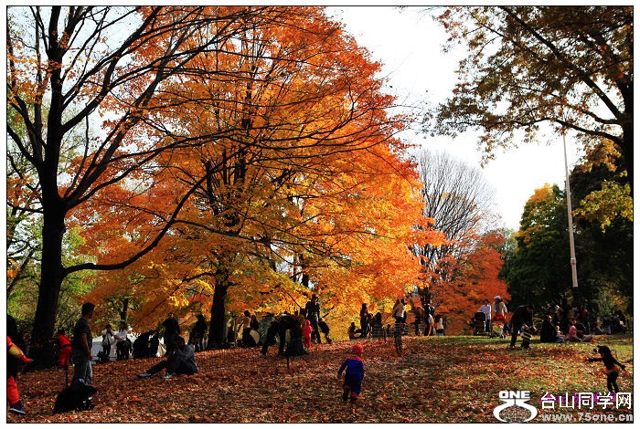 ���빫԰��ɫ