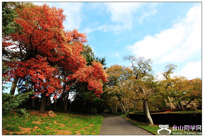 ŦԼ������