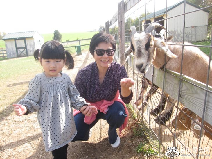 10-24-2010&nbsp;&nbsp; BB 007.jpg