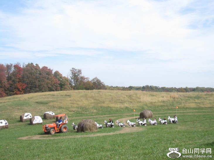 10-24-2010&nbsp;&nbsp; BB 126.jpg