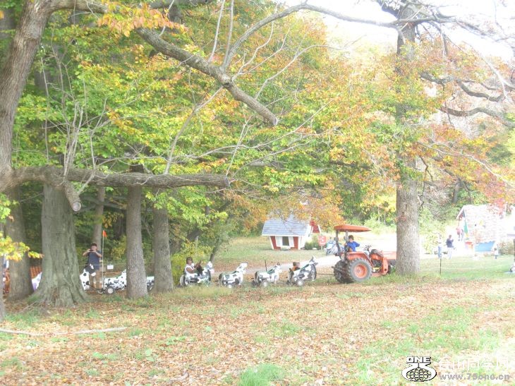 10-24-2010&nbsp;&nbsp; BB 123.jpg