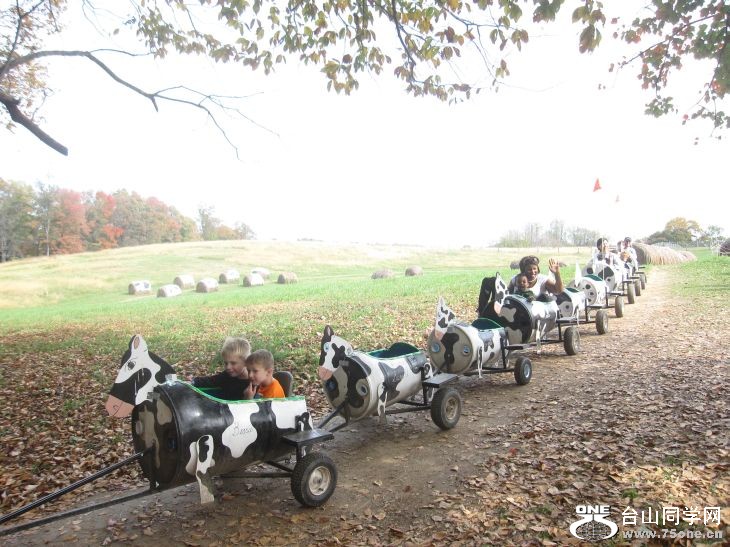 10-24-2010&nbsp;&nbsp; BB 120.jpg