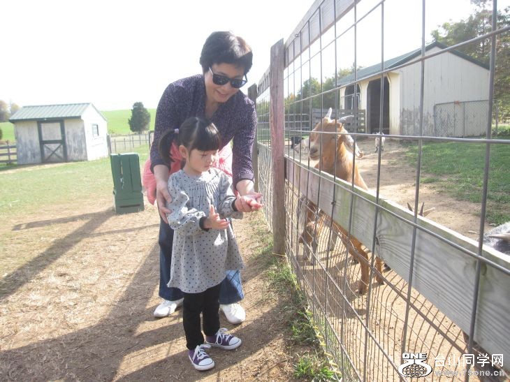 10-24-2010&nbsp;&nbsp; BB 008.jpg