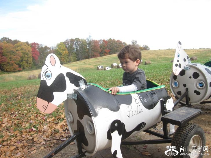 10-24-2010&nbsp;&nbsp; BB 114.jpg