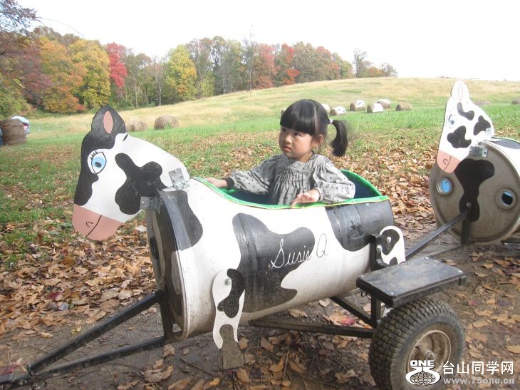 10-24-2010&nbsp;&nbsp; BB 113.jpg