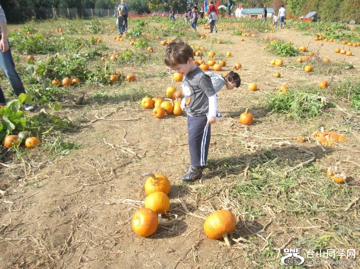 10-24-2010&nbsp;&nbsp; BB 063.jpg