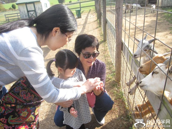 10-24-2010&nbsp;&nbsp; BB 009.jpg