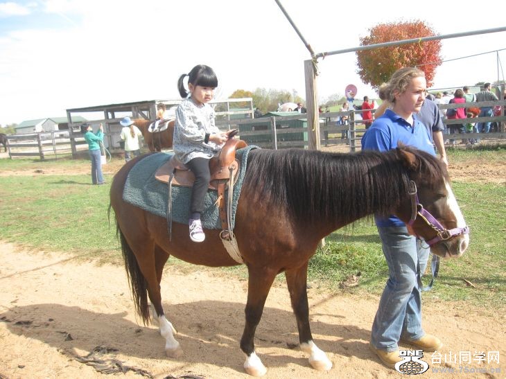 10-24-2010&nbsp;&nbsp; BB 137.jpg