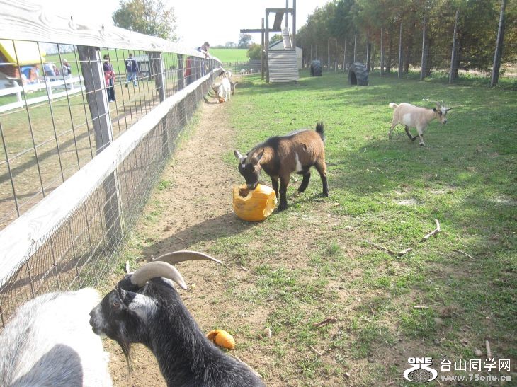 10-24-2010&nbsp;&nbsp; BB 003.jpg